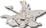 Israel IDF Navy Badge