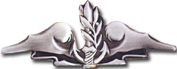 Israel IDF Navy Badge