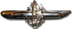 Israel IDF Navy Badge