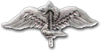 Israel IDF Infantry Badge