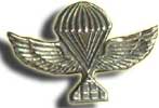 Israel IDF Infantry Badge