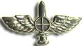 Israel IDF Infantry Badge