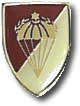 Israel IDF Infantry Badge