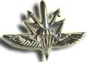 Israel IDF Infantry Badge