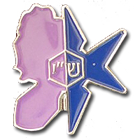 Israel Police Badge