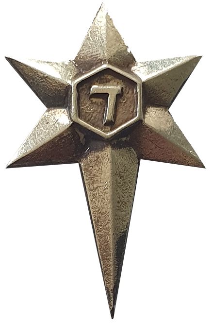 Israel Police Badge