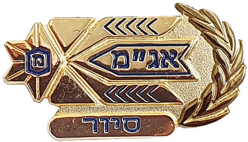 Israel Police Badge