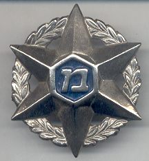 Israel Police Hat badge