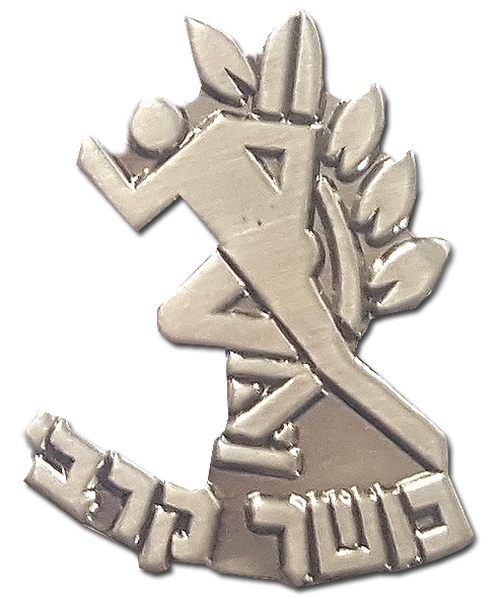 Israel Police Pin Badge