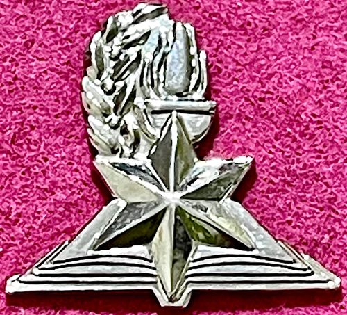 Israel Police Pin Badge