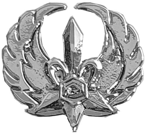 Israel Police Pin Badge