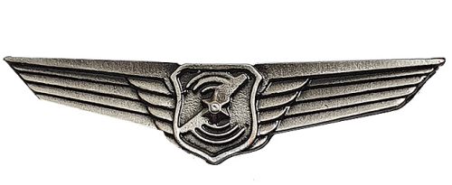Israel Police Pin Badge