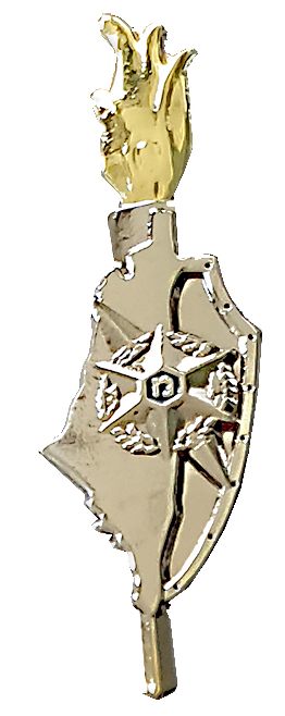 Israel Police Pin Badge