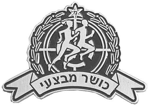 Israel Police Pin Badge