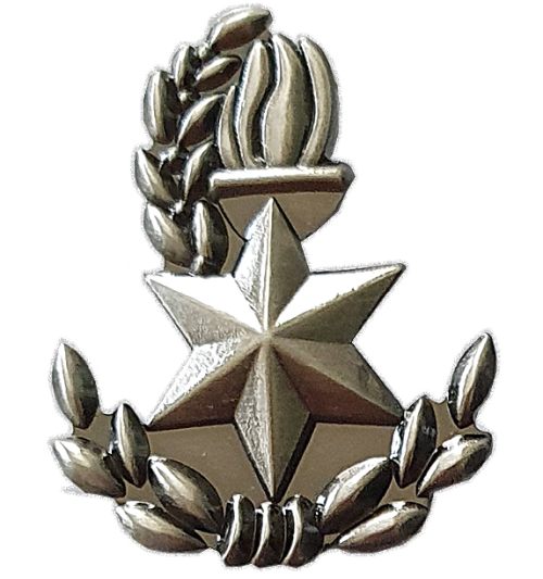 Israel Police Pin Badge