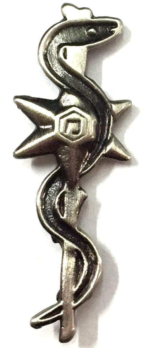 Israel Police Pin Badge