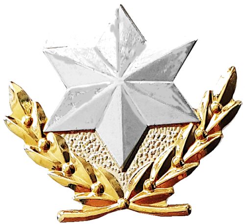 Israel Police Pin Badge