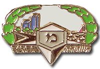 Israel Police Badge