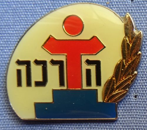Israel Prison Service badge