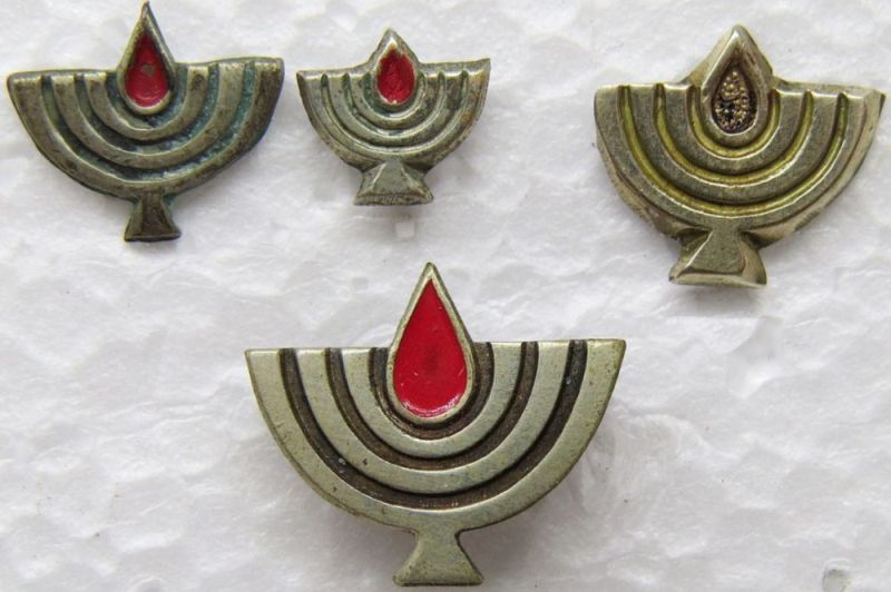 State Warriors decoration collection