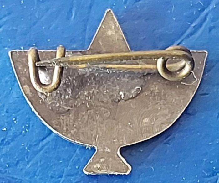 State Warriors decoration brooch back