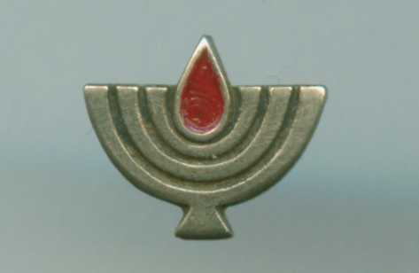 Decoration of State Warriors mounted on the War of Independence Ribbon