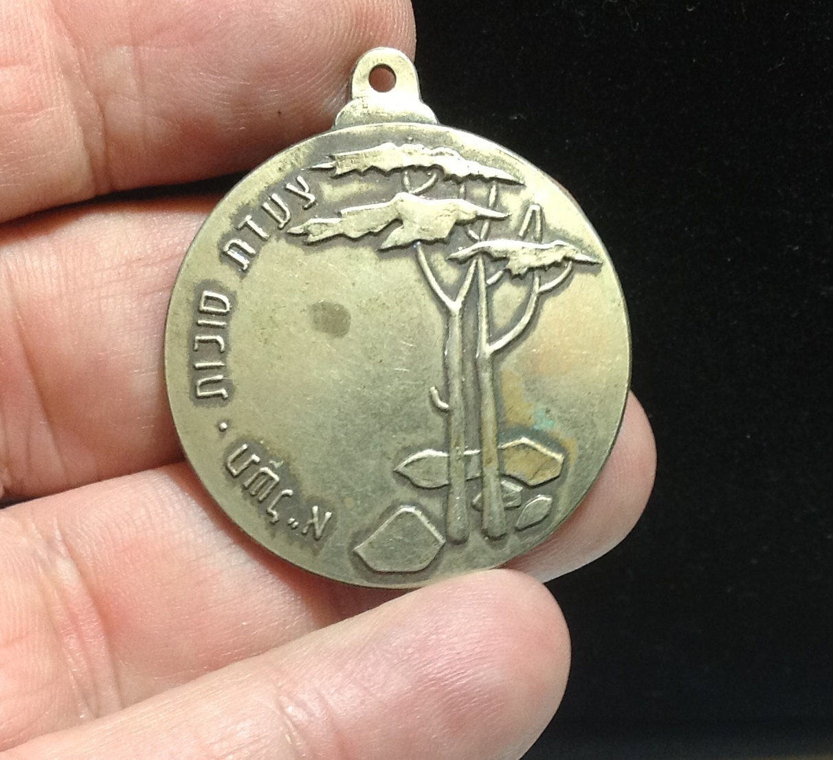 Israeli Marching Medal