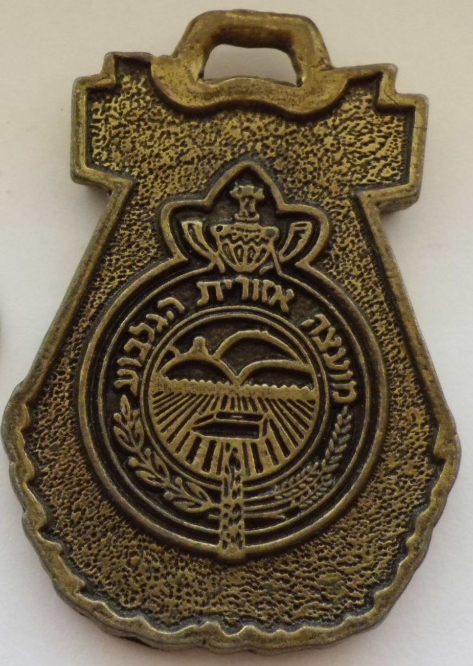 Gilboa March Medal