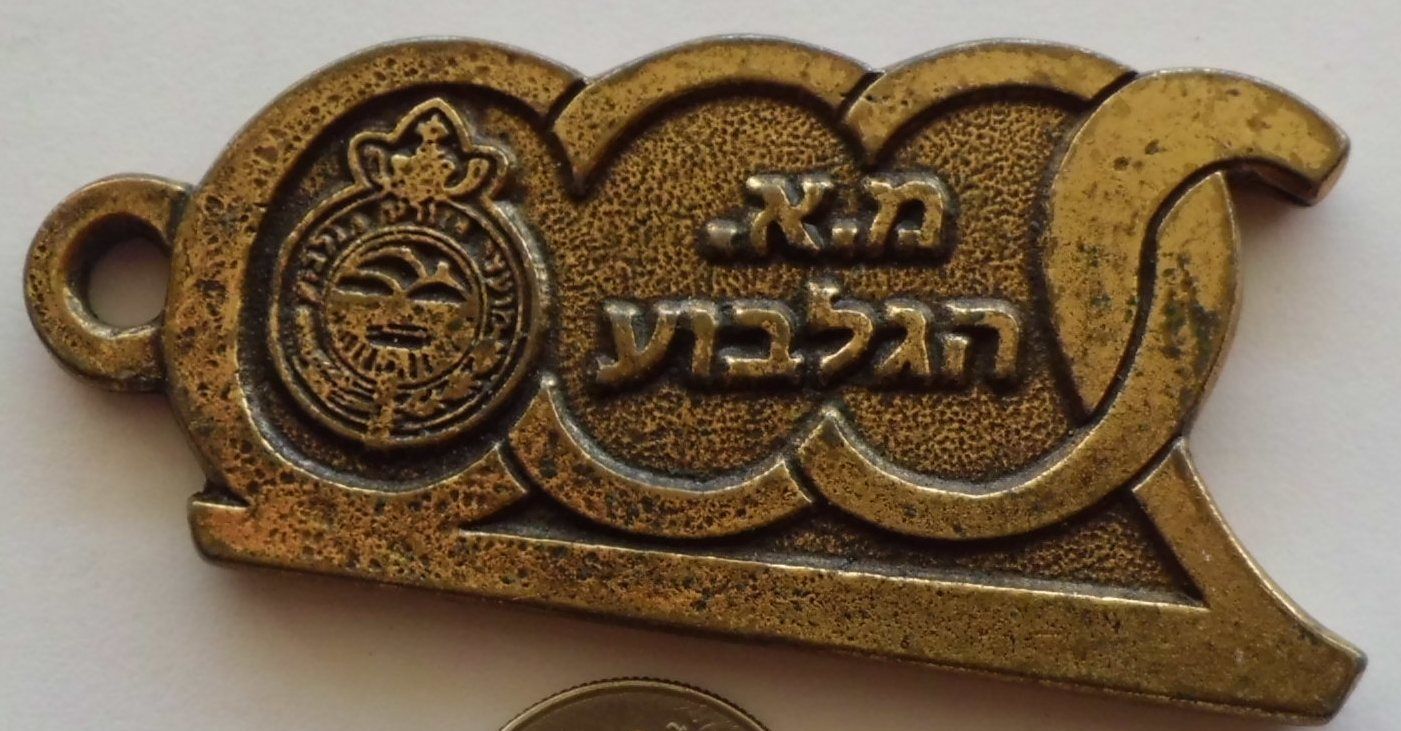 Gilboa March Medal