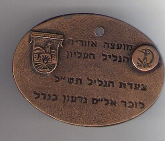 Galilee Marching Medal