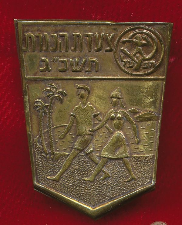 Kinneret March Medal