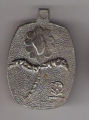 Kinneret March Medal