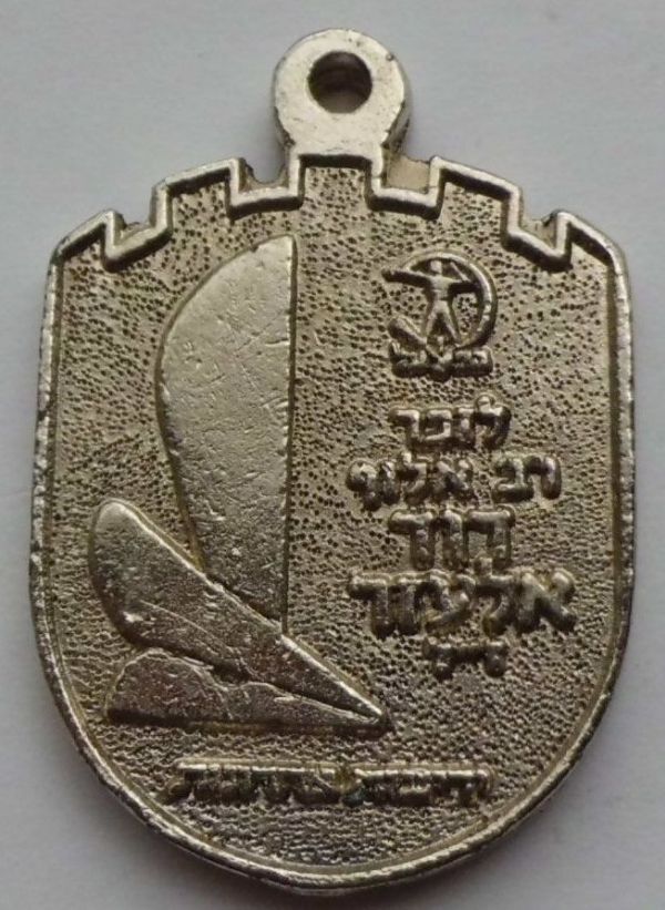 Kinneret March Medal