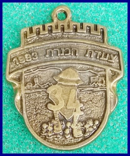 Kinneret March Medal