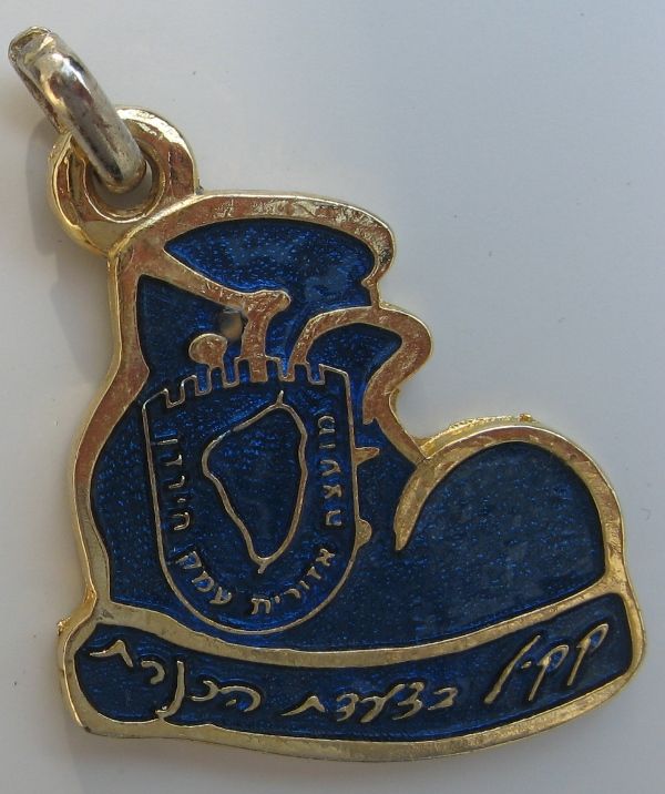 Kinneret March Medal