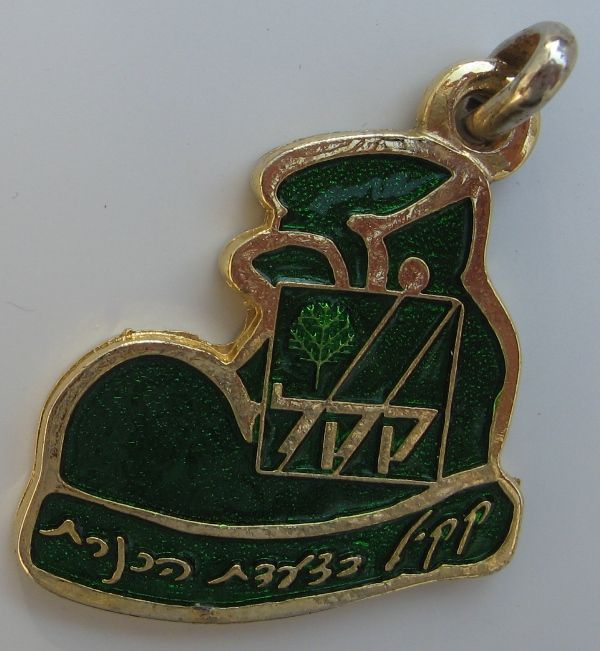 Kinneret March Medal