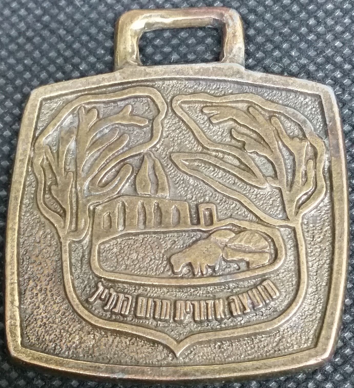 Israeli Marching Medal