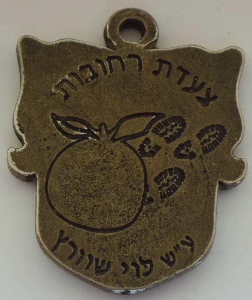 Israeli Marching Medal