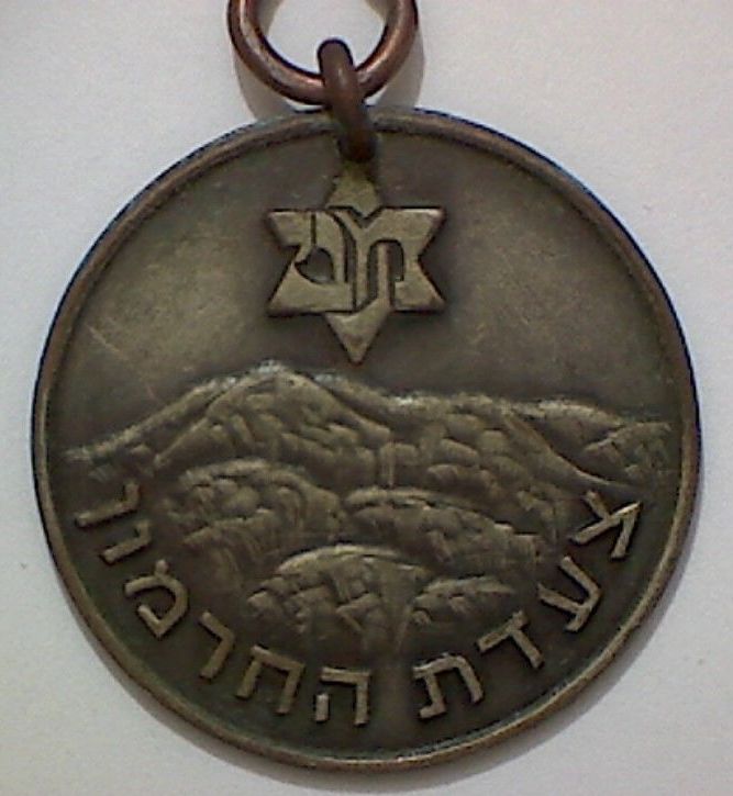 Israeli Marching Medal
