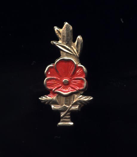 Israel:Badge for the disabled