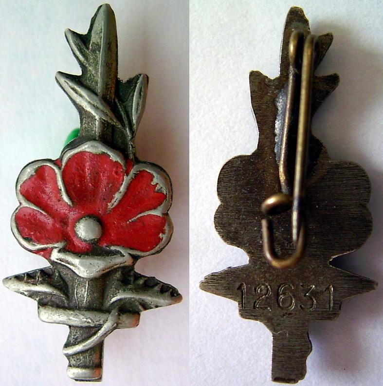 Badge for the disabled 2