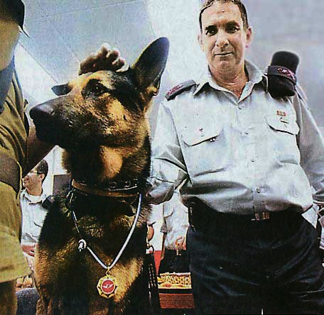 Rick, Oketz team dog with medal