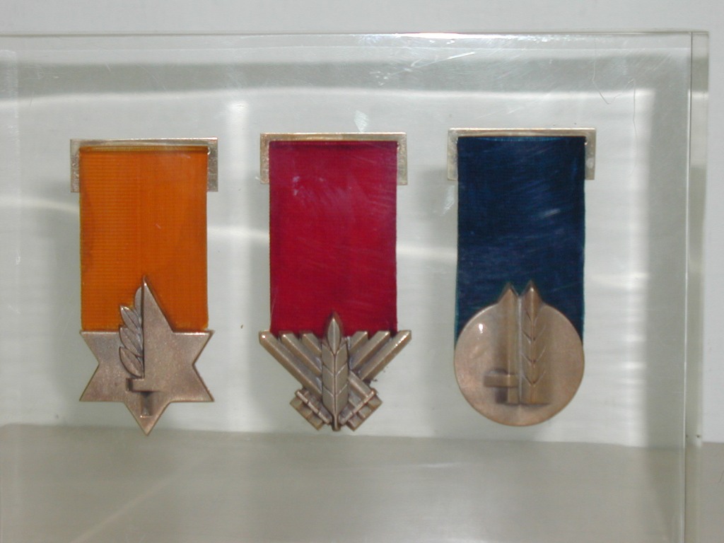 IDF Decorations in perspex