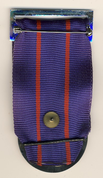 Medal of Courage Israel Police error back