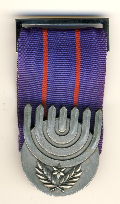 Medal of Courage of the Israel Police error front