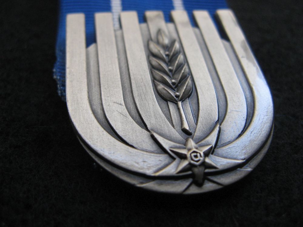 Police Distinguished Service medal, error
