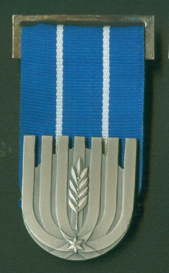 Police Medal of Distinguished Service 