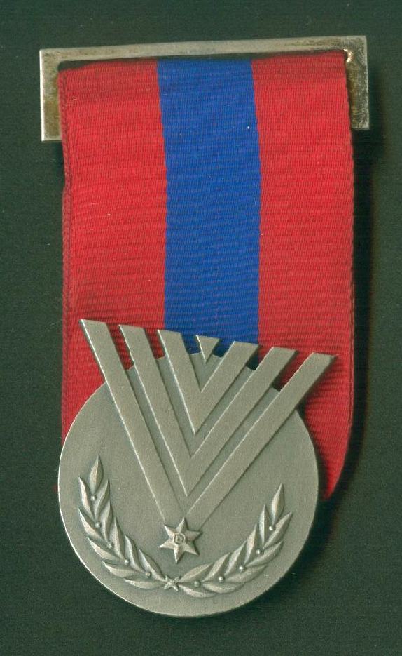 Police Medal of Valor 