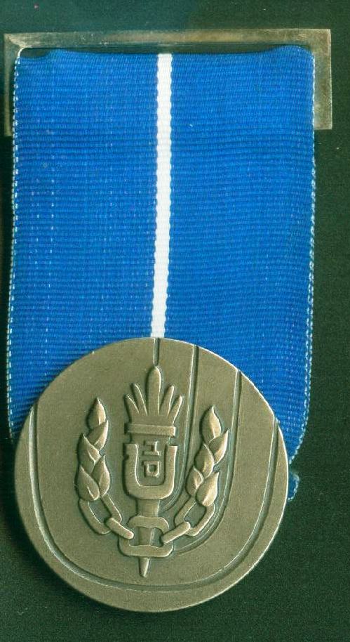 Israel Prison Service medal - front
